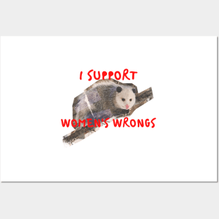 I support womens wrongs Posters and Art